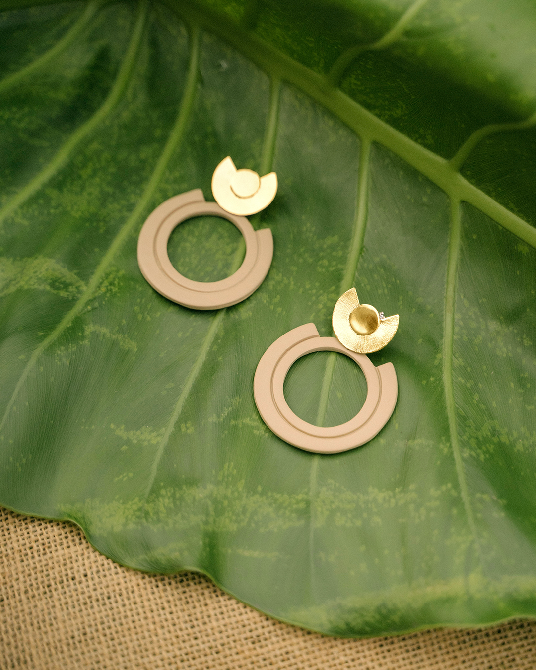 Disk Hoops
